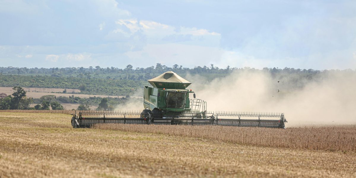 Otimização da Cadeia de Suprimentos Agrícola: Reduza Custos e Eficiência
