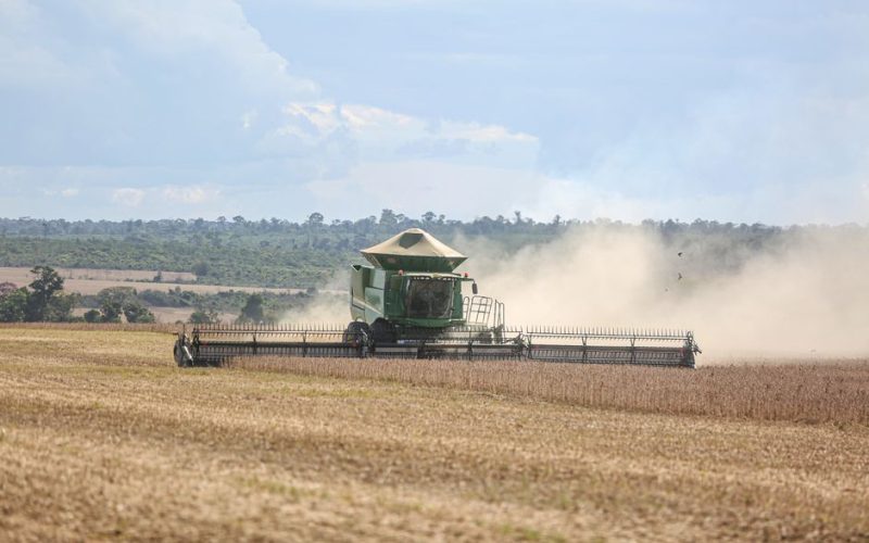 Planejamento financeiro no agronegócio: estratégias para fluxo de caixa e novos investimentos