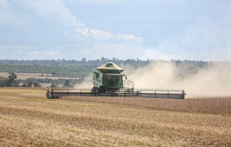 Planejamento financeiro no agronegócio: estratégias para fluxo de caixa e novos investimentos