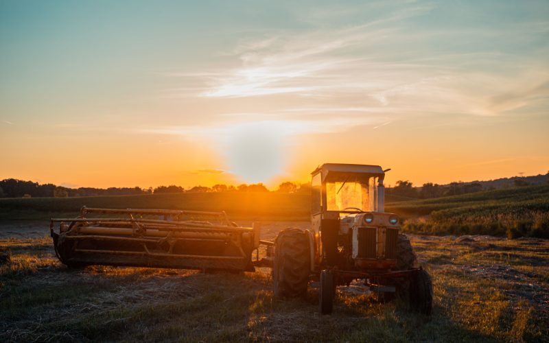Planejamento financeiro no agronegócio: estratégias para fluxo de caixa e novos investimentos
